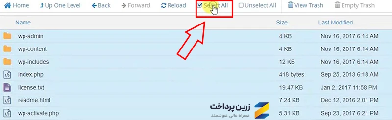هاست وردپرس با cPanel
